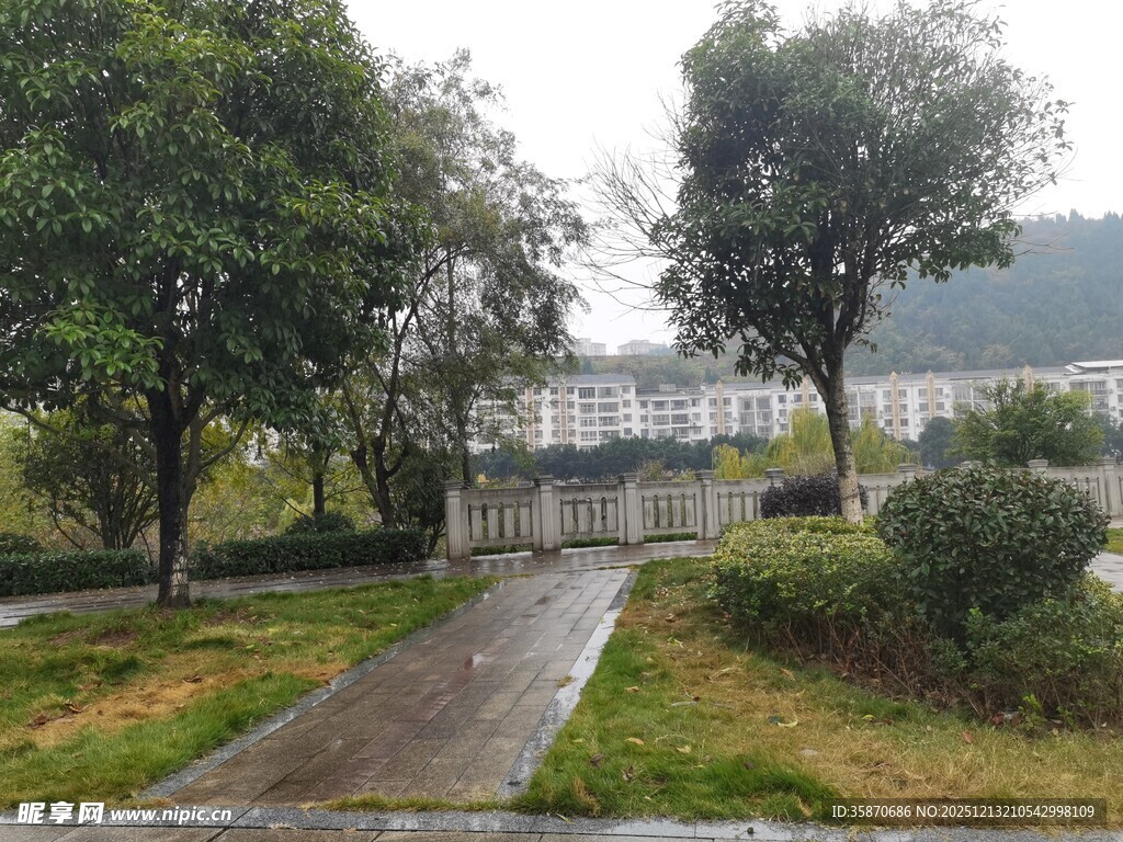 雨后清新的公园林间小道