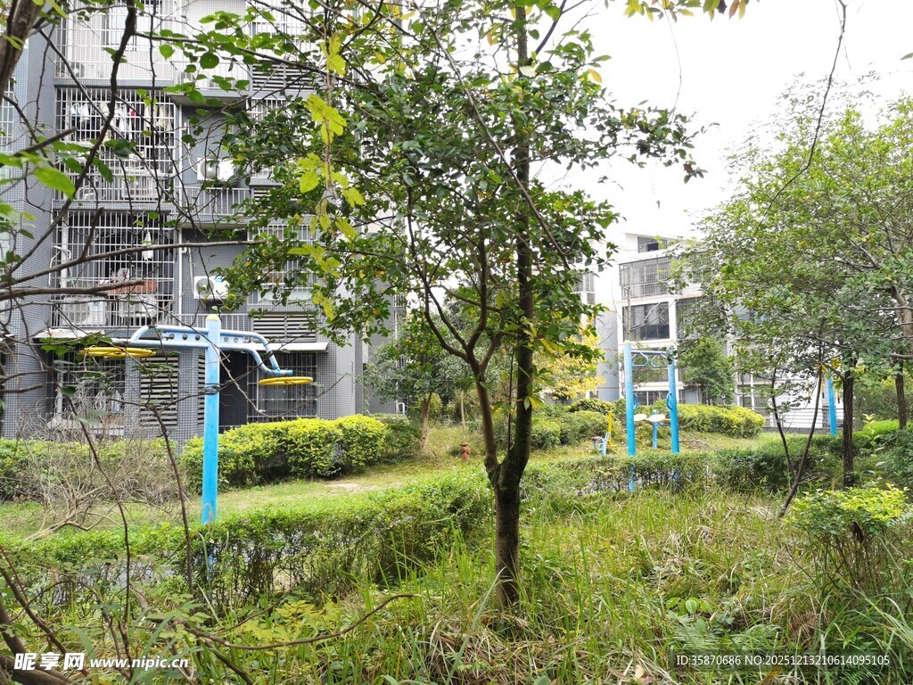 小区内绿植环绕的景观