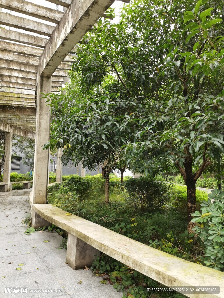 木质廊架下的绿植景观