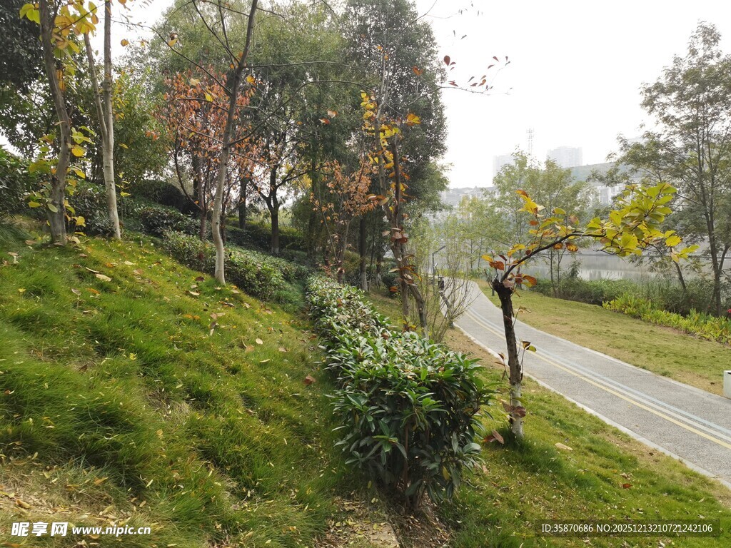 山间幽径旁的多彩植被