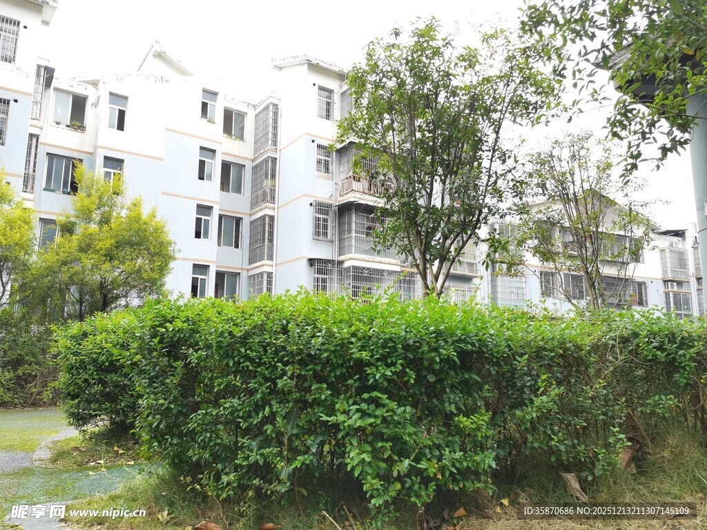 小区绿植环绕的住宅楼