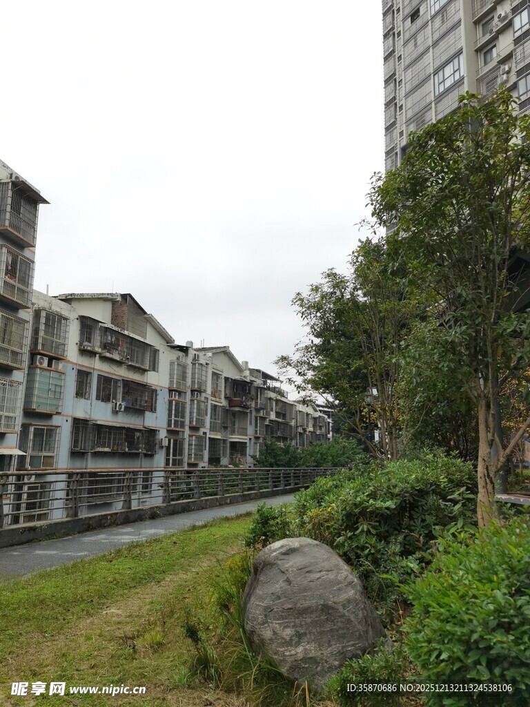 小区住宅旁的绿植景观