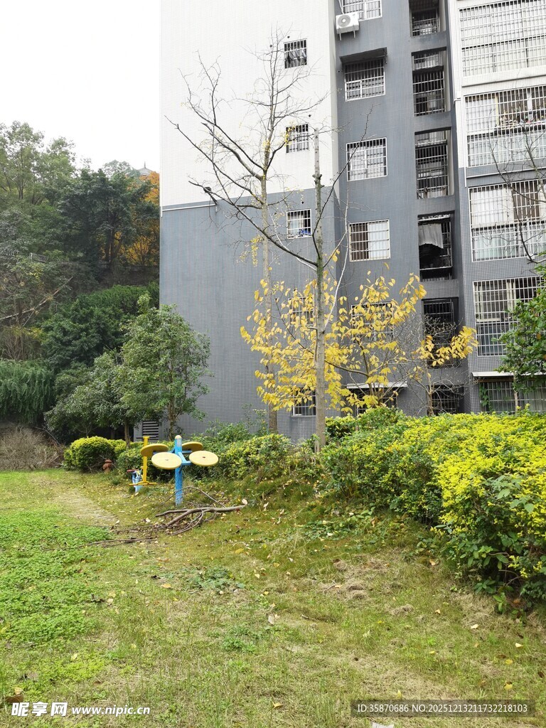 小区内的绿植与休闲设施