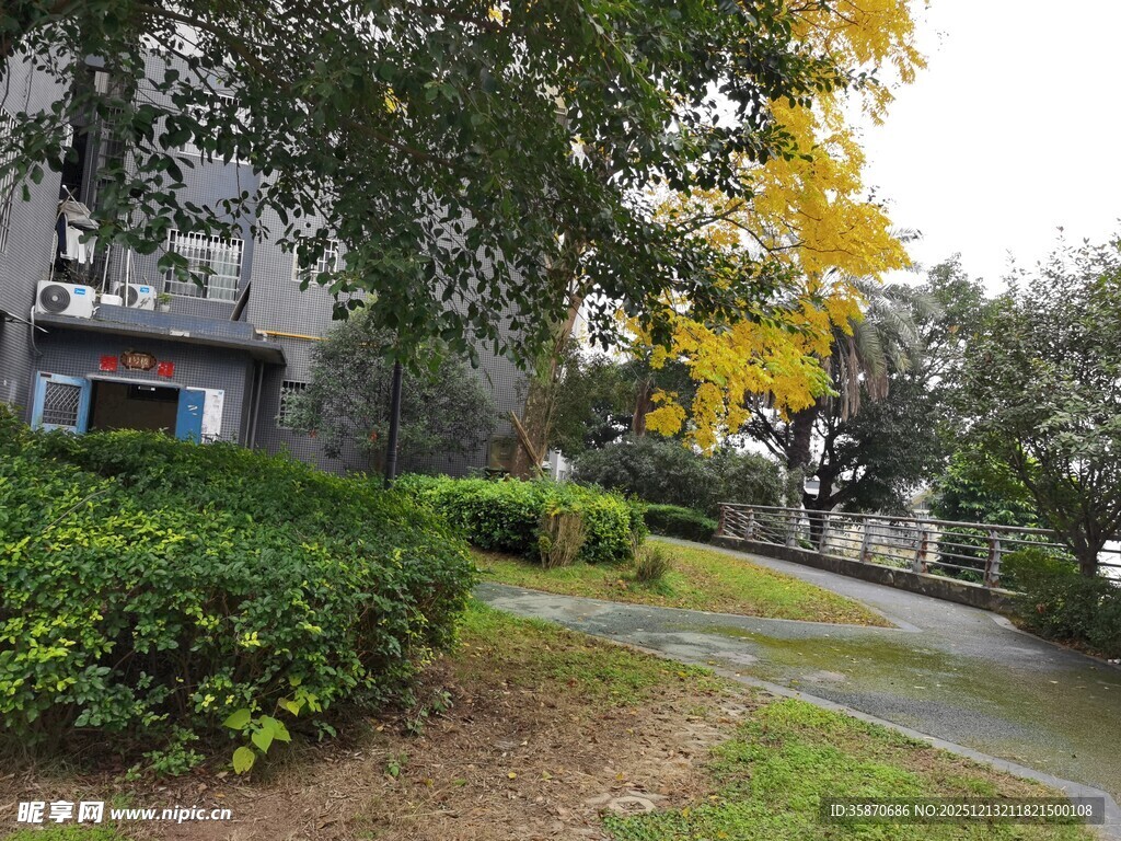 秋日小区静谧绿化景观