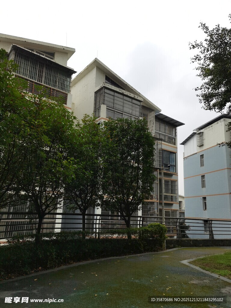 现代住宅旁的绿植景观