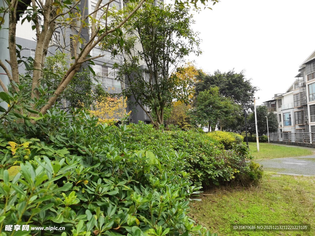 小区绿植环绕的优美环境