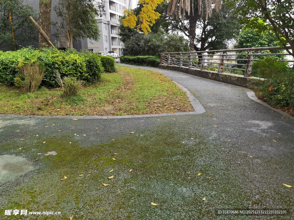 雨后湿润的小区蜿蜒小路
