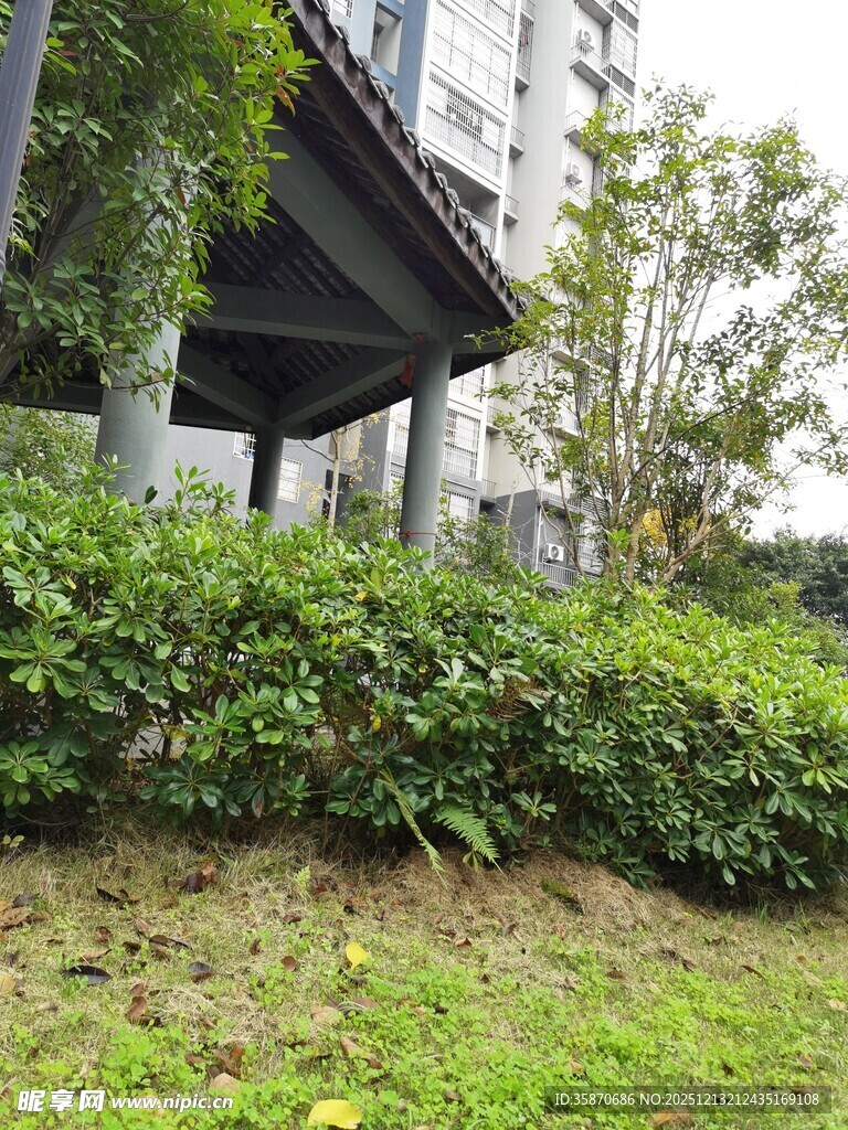户外绿植与建筑一角