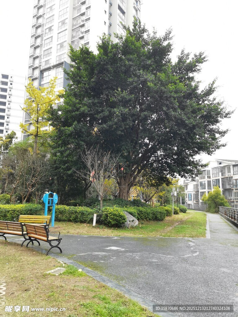 城市公园中的休闲景致