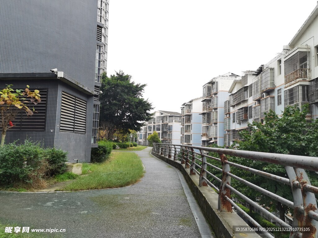 小区内的幽静步道