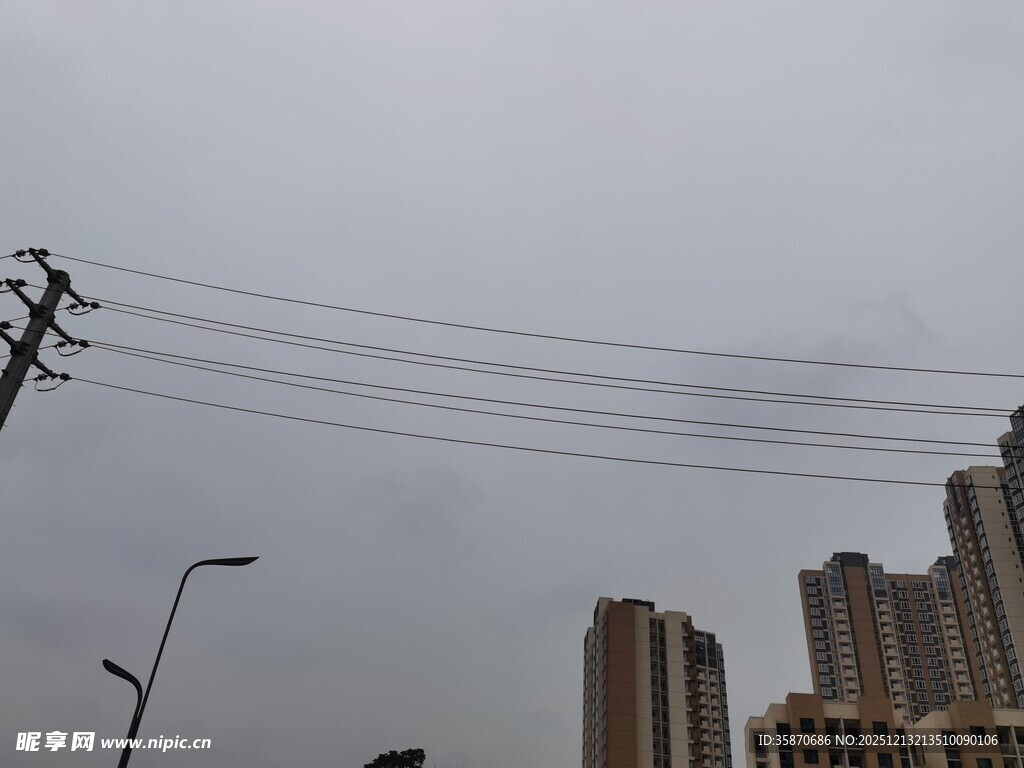 城市上空的电线与高楼