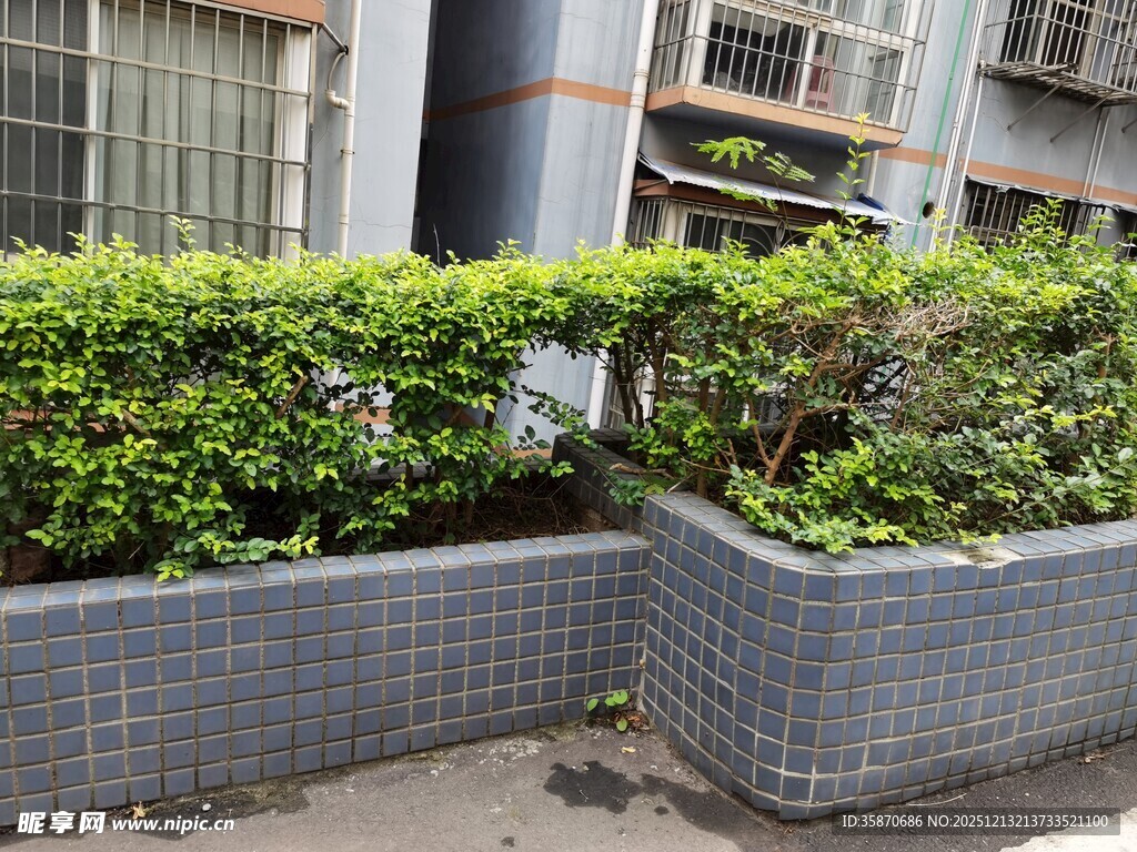 户外绿植花坛景观