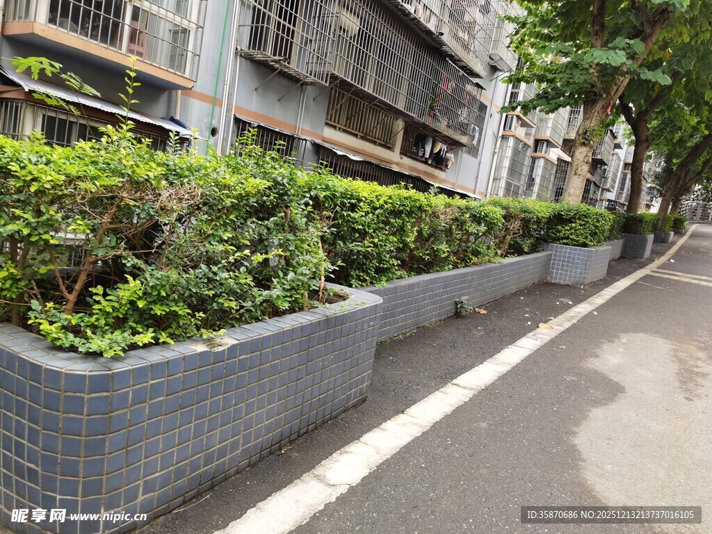 街道边的绿植花坛景观