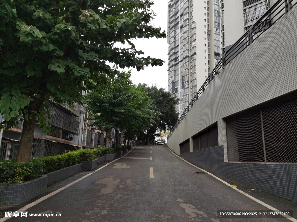 城市中安静的林荫街道