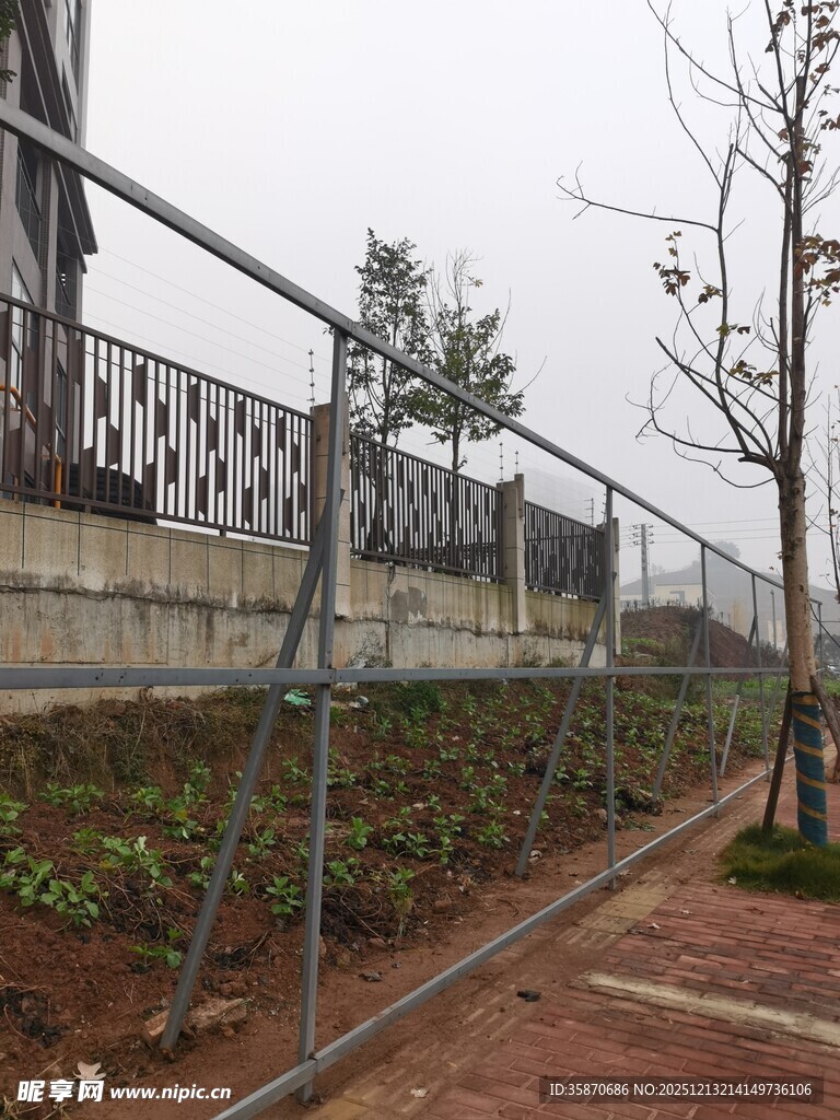 户外绿植围栏景观