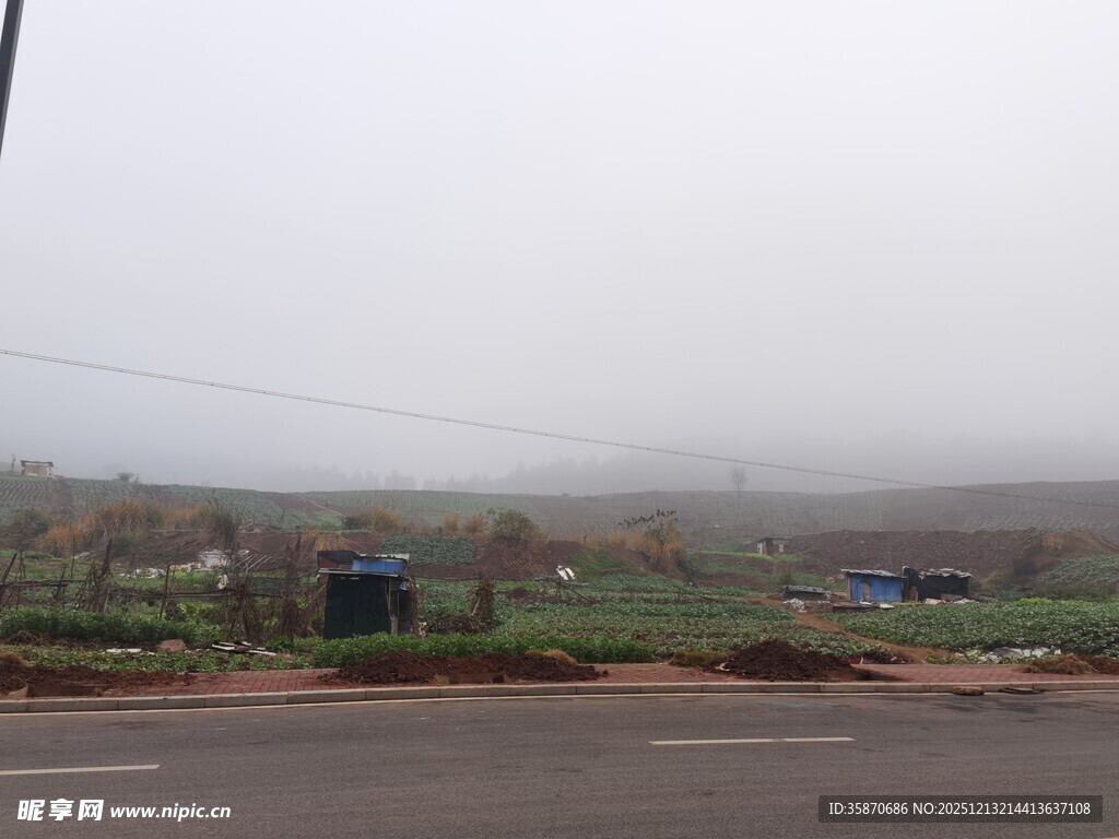 雾中乡村道路景象