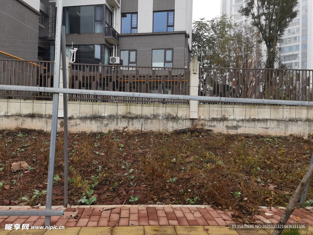 户外空地待开发场景