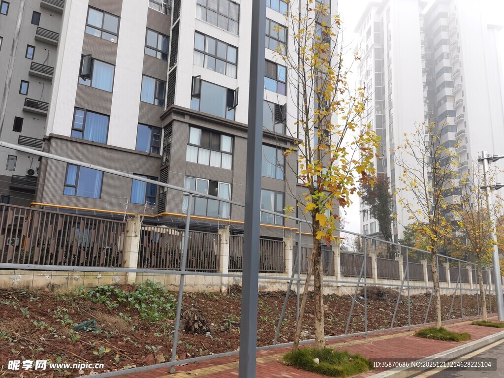 城市住宅区街道景观