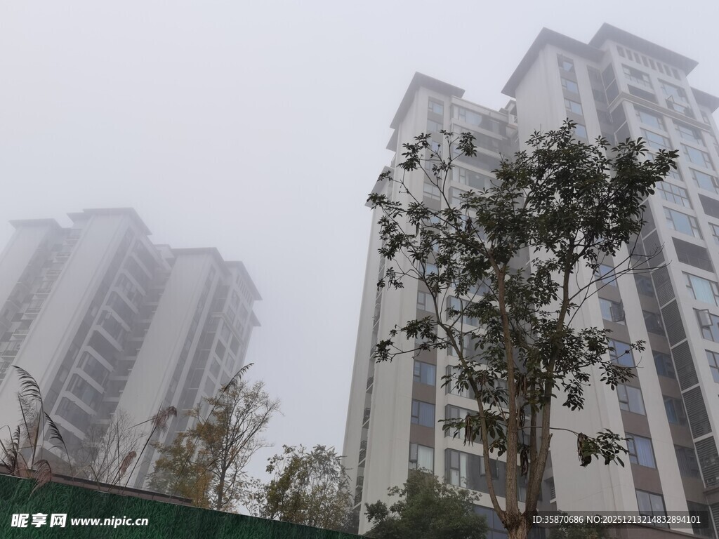 雾中高楼与绿树