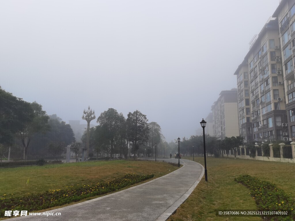 雾中校园小路景观