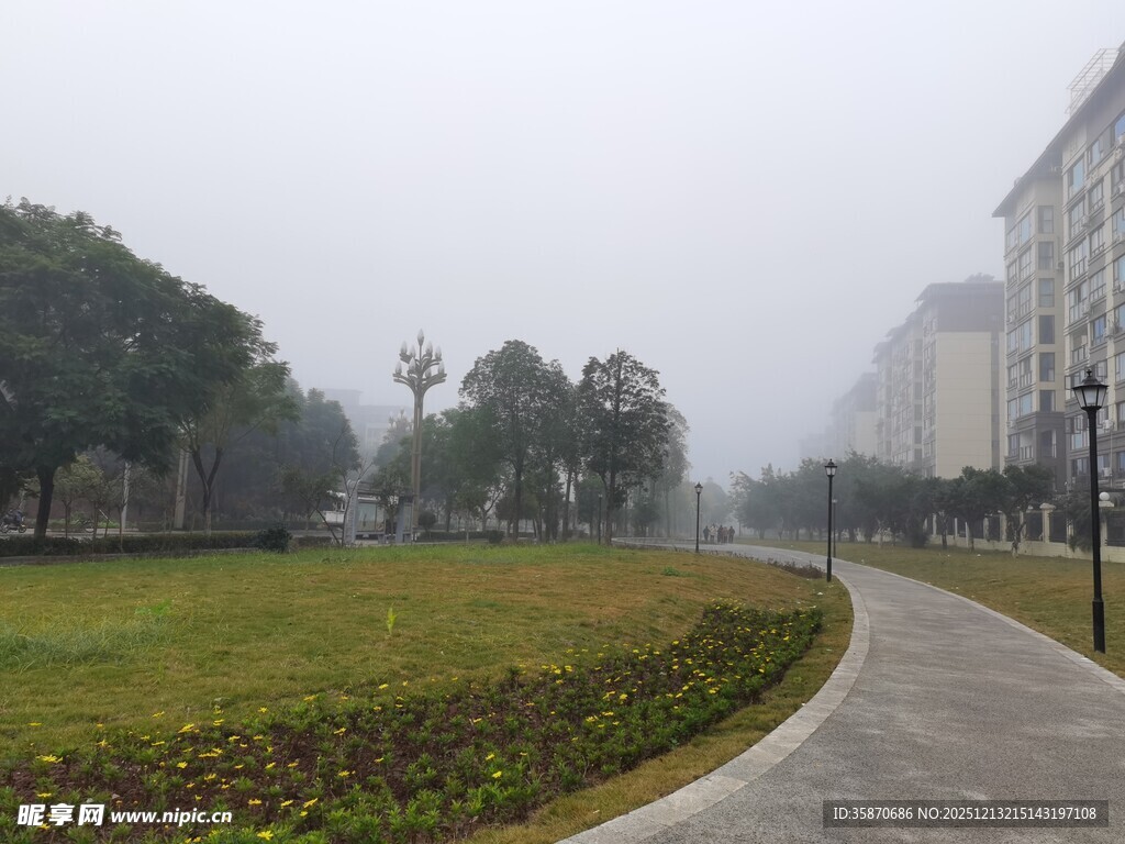 雾中校园小径景观