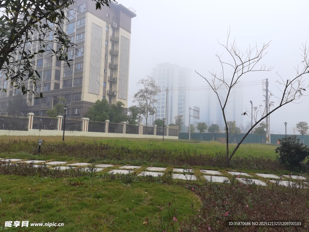 雾中城市绿地景观