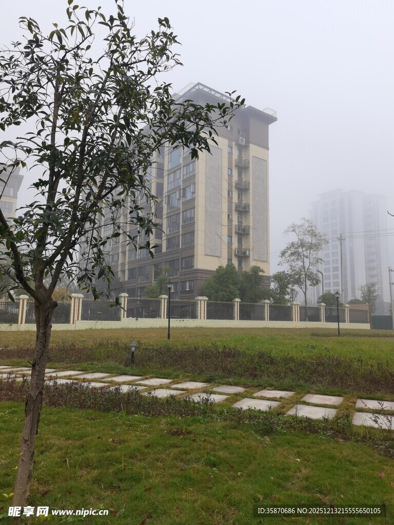 雾中楼宇旁的树木与草地