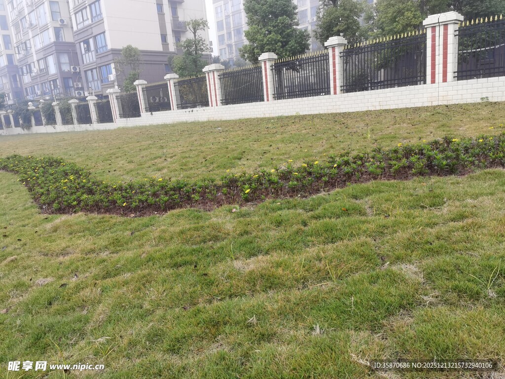 户外草坪与低矮绿植景观