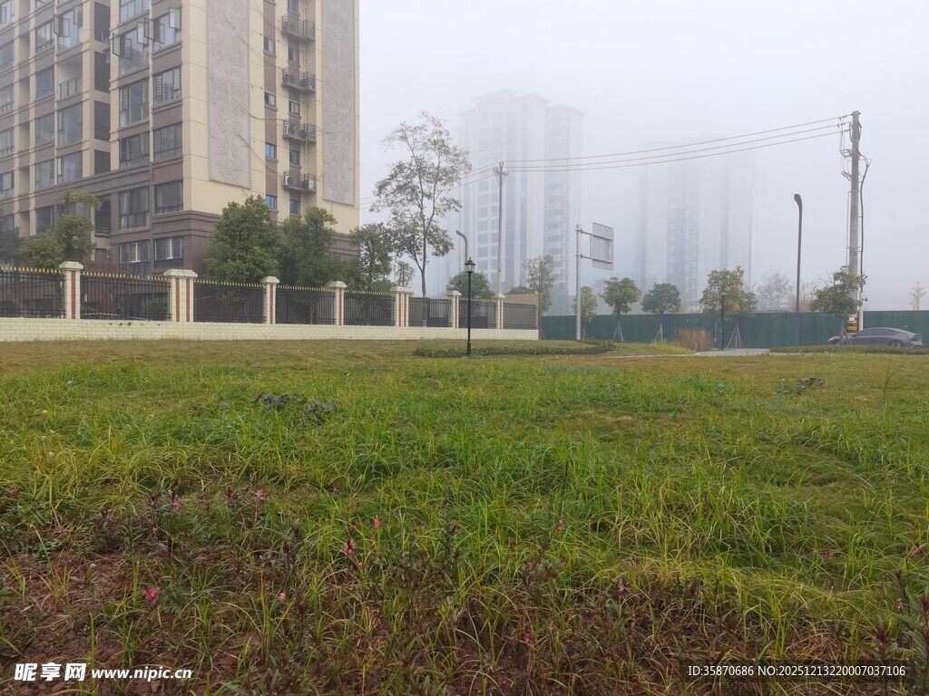 城市中开阔的绿地景观