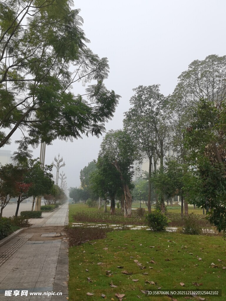 雾中公园小径景色