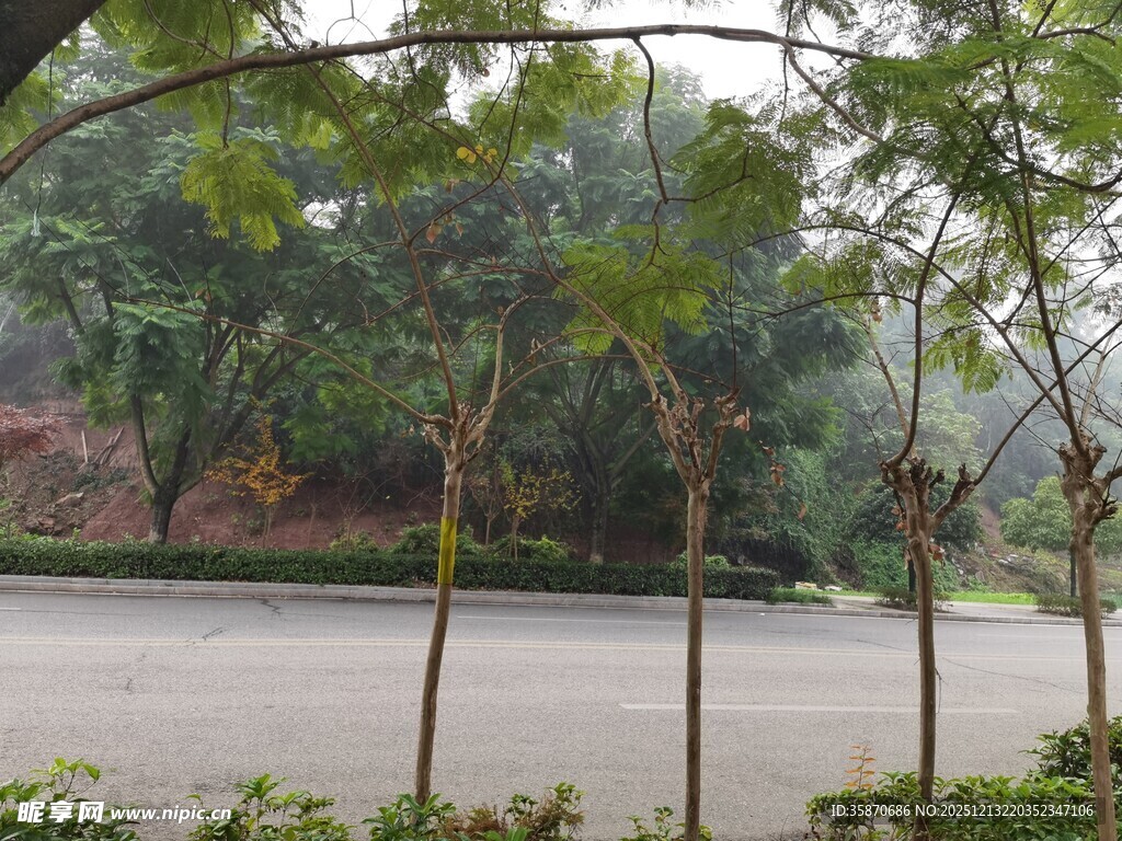 户外绿树环绕的开阔场地