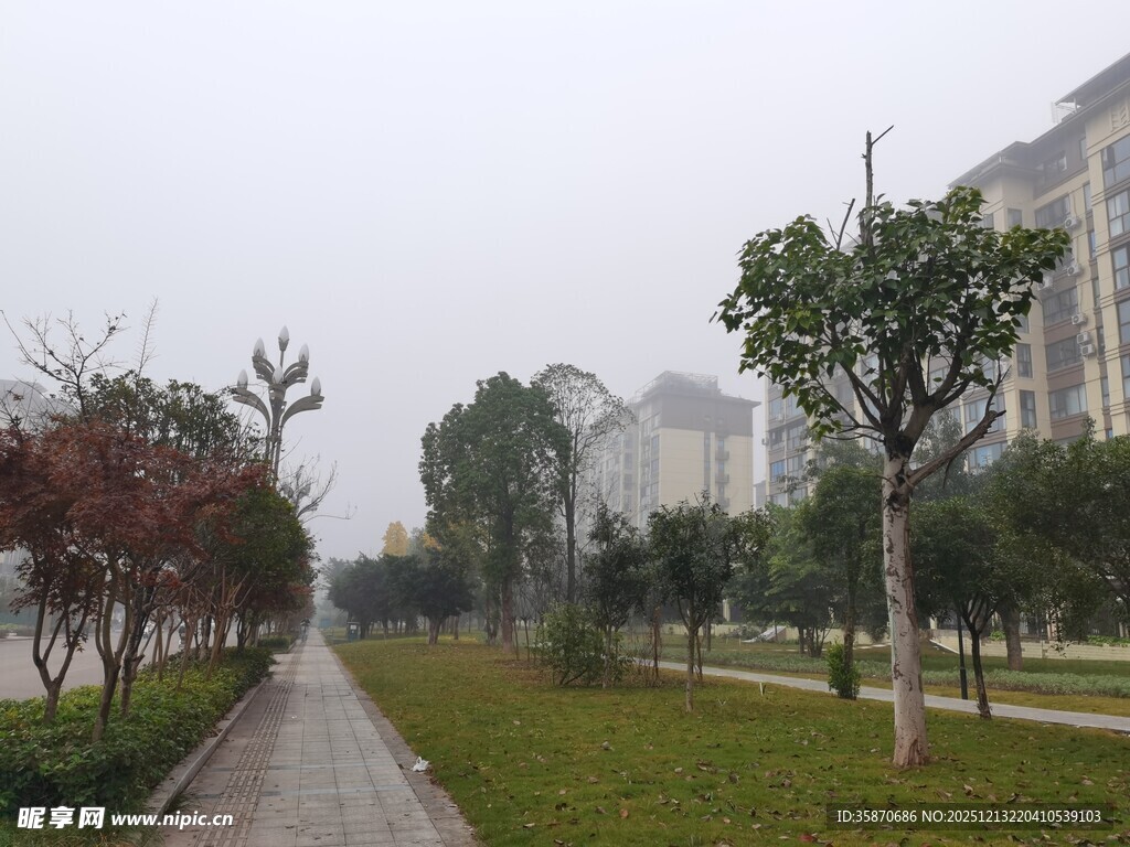 雾中静谧的城市林荫小道