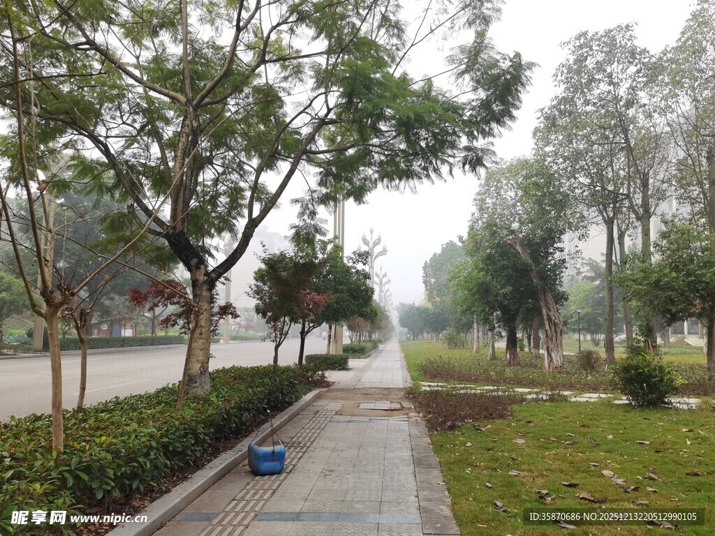 城市中的静谧林荫步道