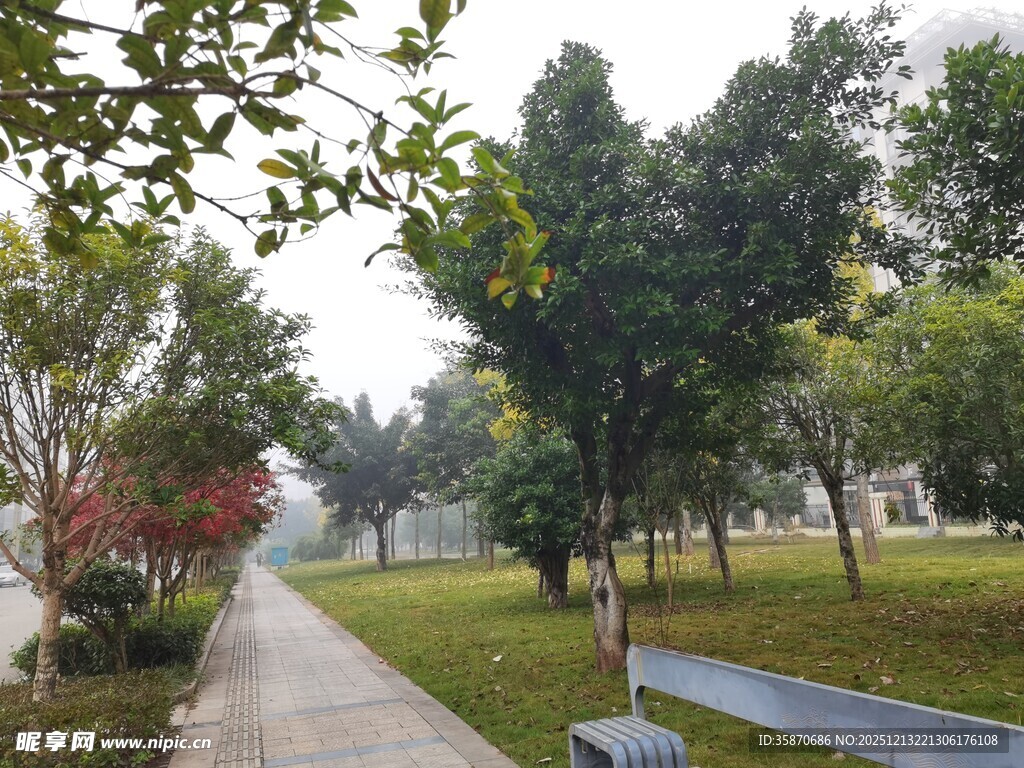 公园小径绿树环绕景致美