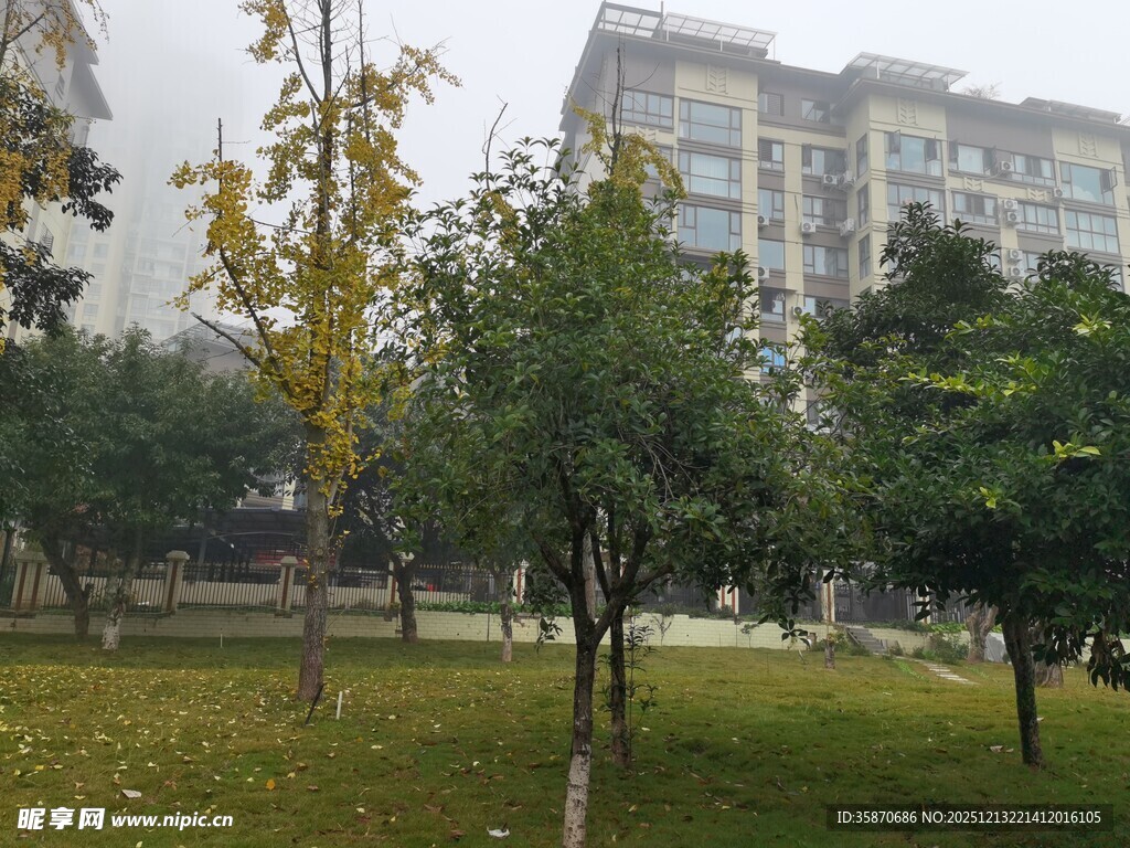 小区内的绿化景观