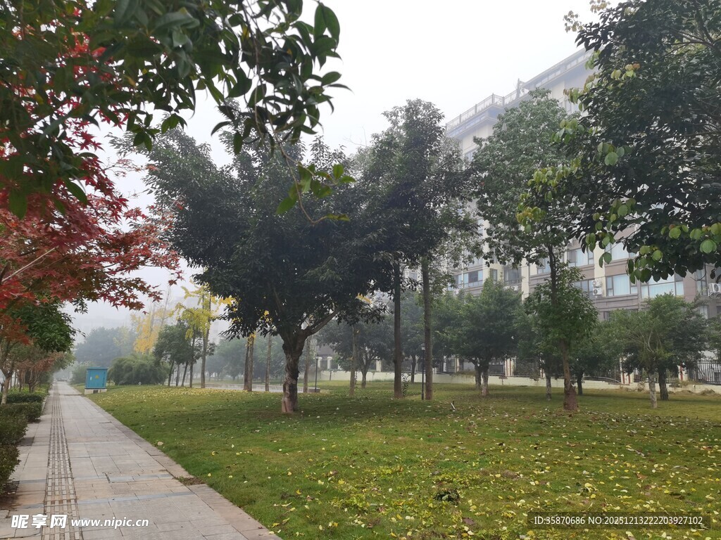 秋日公园林荫步道美景