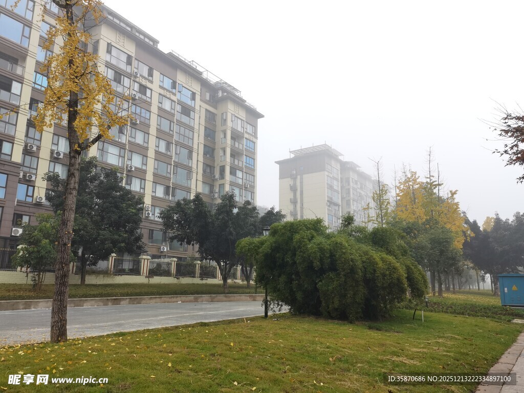 小区秋日景观