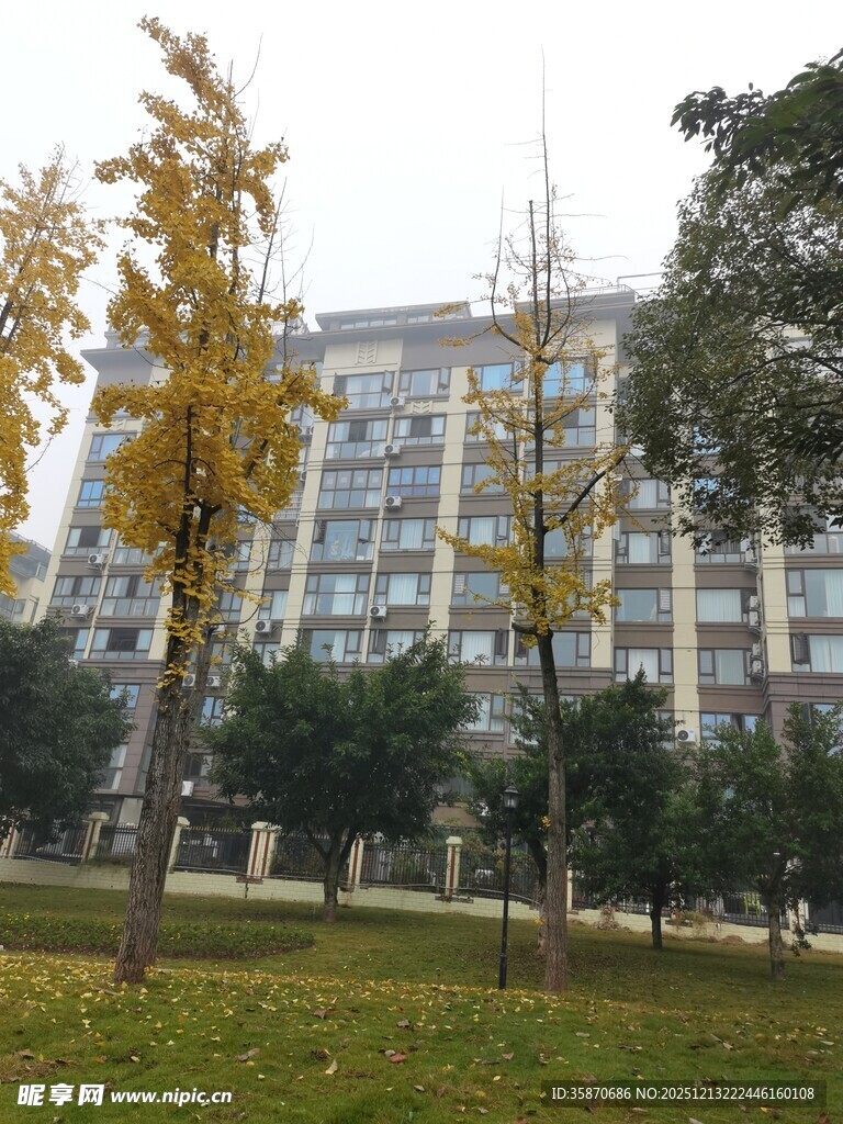 秋日校园中的建筑与树木