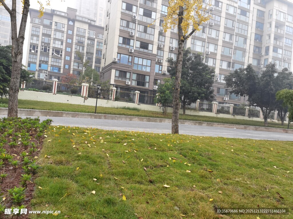 城市中的绿地与建筑景观