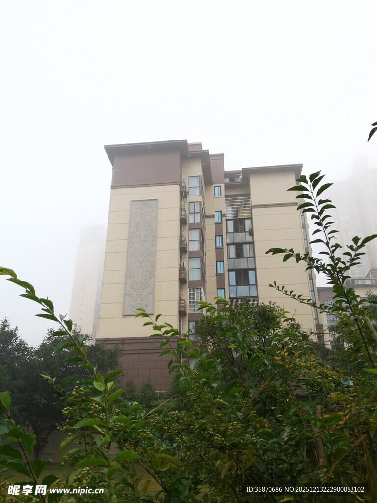 雾中高楼隐于绿植间