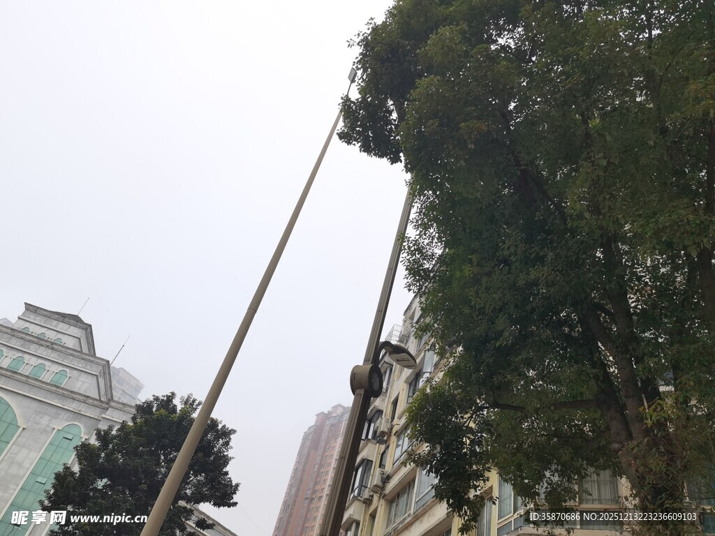 高楼旁的树木与长杆