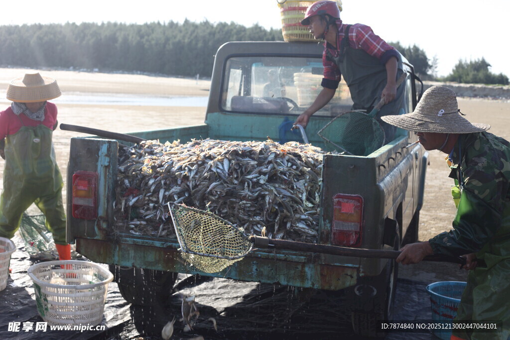 渔民整理捕捞的渔获物