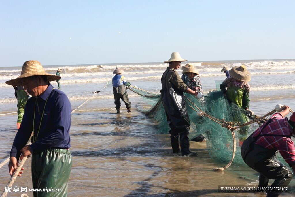 海边渔民合力拉网捕鱼
