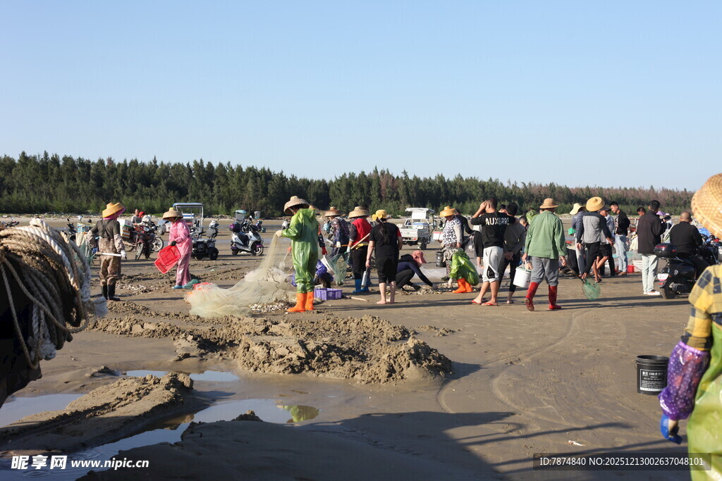 海滩人群聚集捕鱼场景
