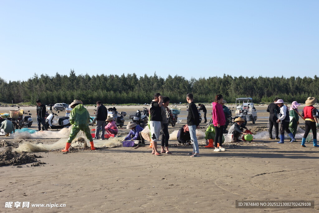 沙滩上的人群聚会场景