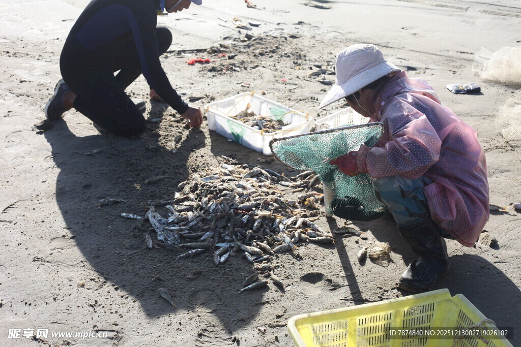 海边渔民分拣捕获的鱼货
