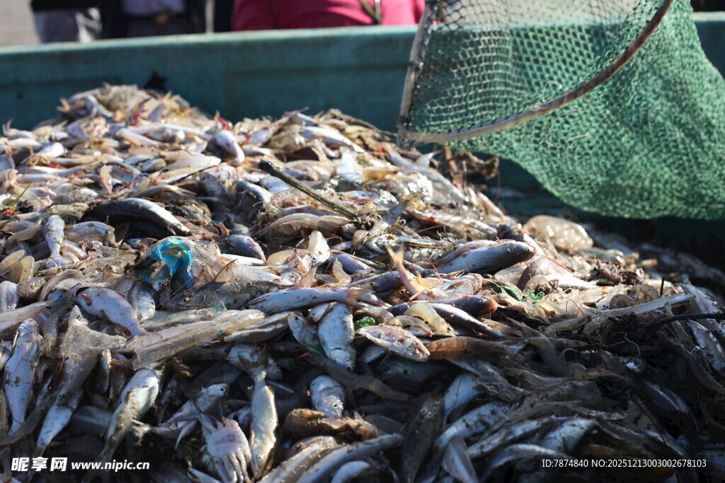 满载而归的渔获