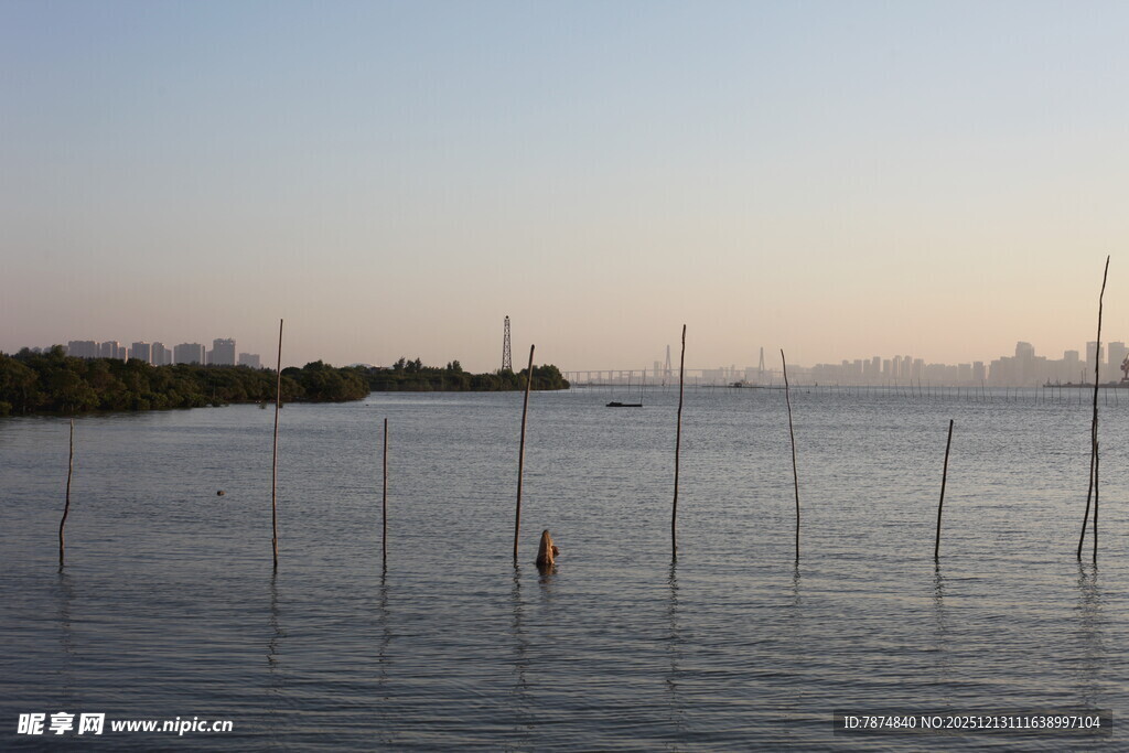 海边暮色中的林立渔桩