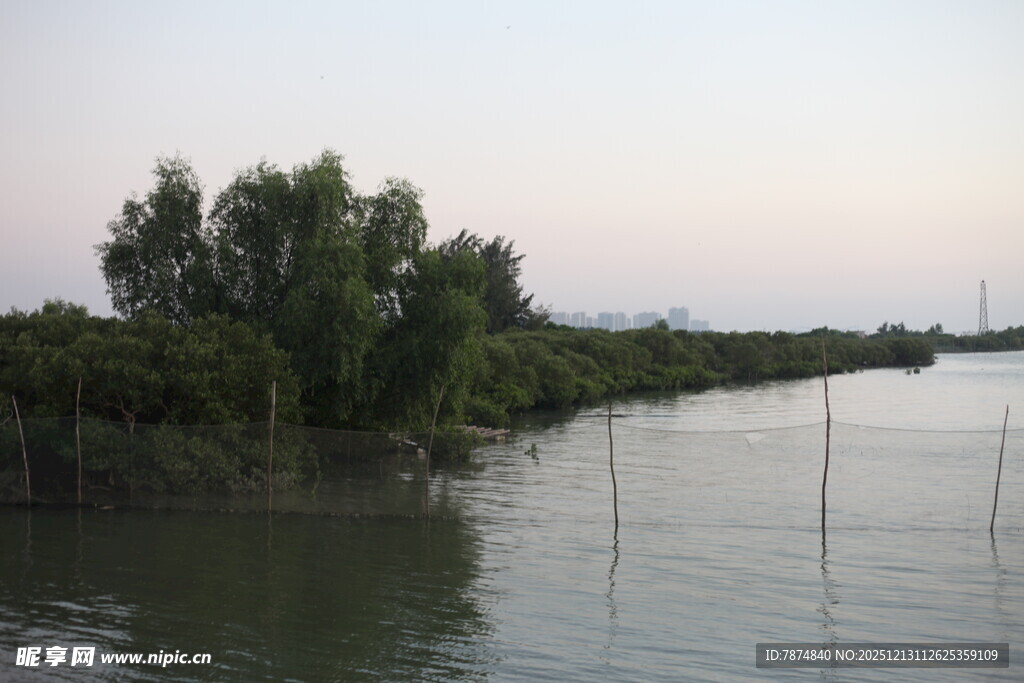 河畔绿树环绕的宁静水域