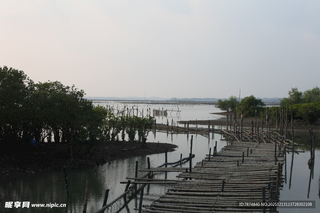 水上木栈道与岸边红树林